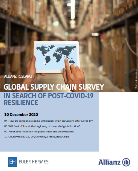Global Supply Chain Survey