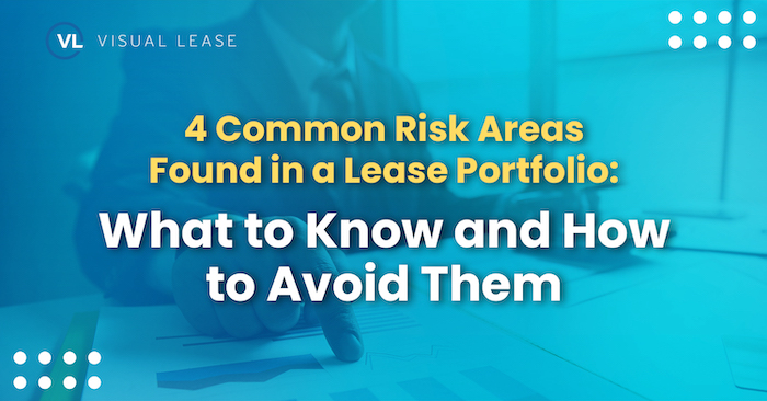 4 Common Risk Areas Found in a Lease Portfolio: What to Know and How to Avoid Them